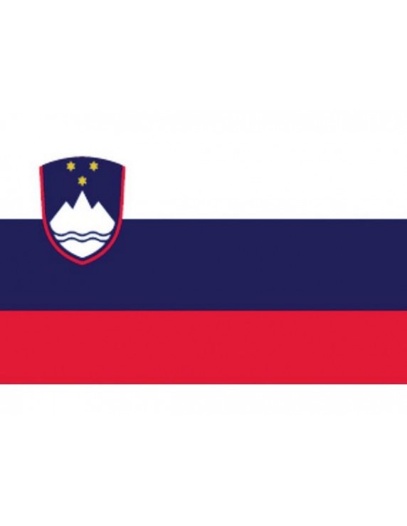 Sloveense vlag 