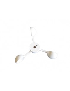 Nasa windcup wit