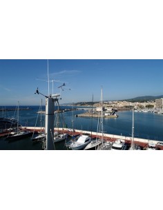 Stop Gull TopMast