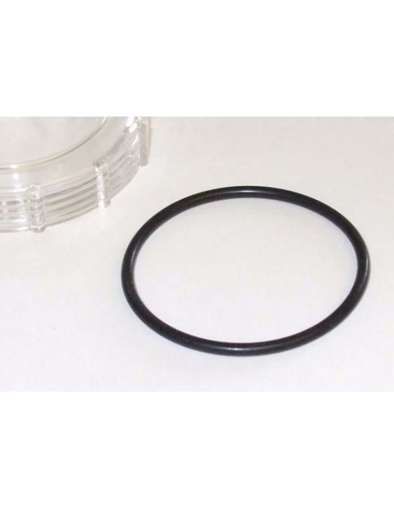 36403-0000 Jabsco Filter O-ring