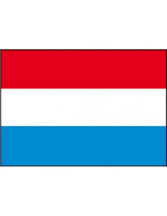 Nederlandse vlag div.modellen