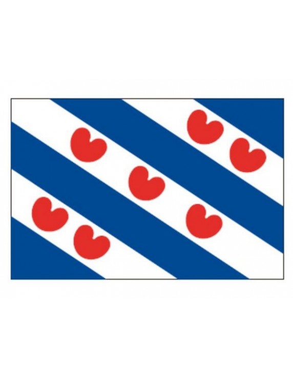 Provincievlag Friesland div.modellen