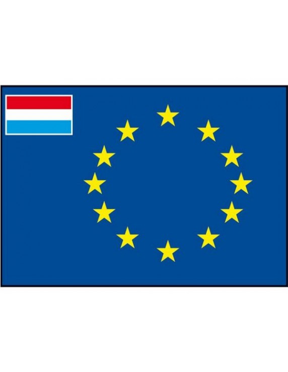 Raad van Europa vlag + kleine vlag Nederland div.modellen