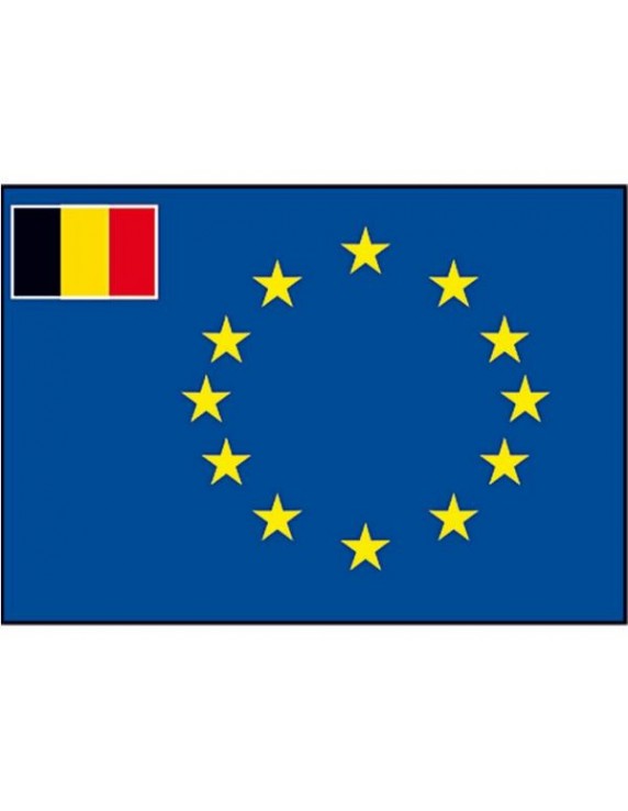 Raad van Europa vlag + kleine vlag België div.modellen