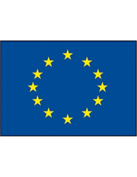 Raad van Europa vlag div.modellen