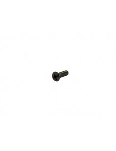 RVS bout lens philipskruiskop DIN 966 div.modellen 2