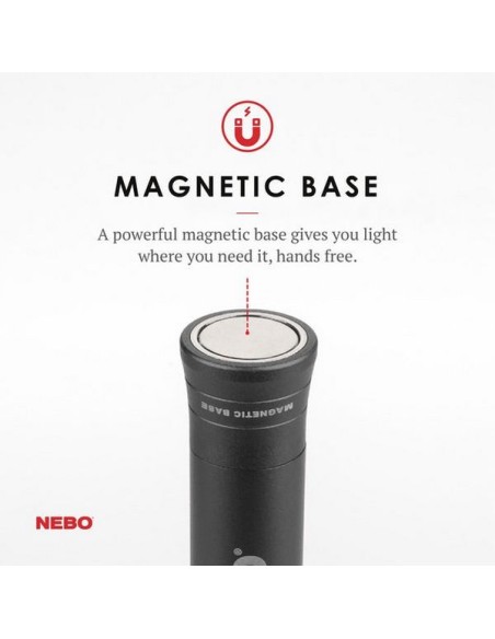 Nebo werklamp Big Larry 2  OPisOP