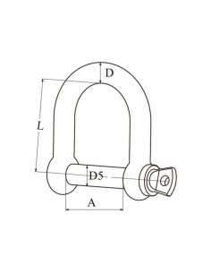 D-sluiting rvs breed  2