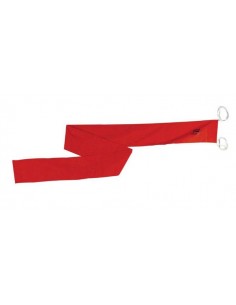 Oranje wimpel 2 meter 2