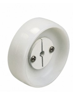 Valgeleide wiel 2