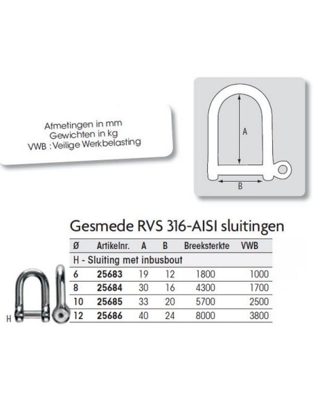 Gesmede RVS d-sluiting met inbusbout
