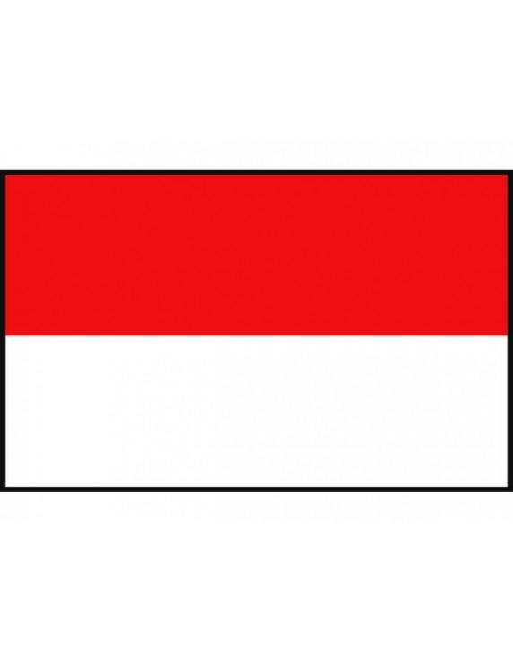 VLAG ROOD-WIT 70X100