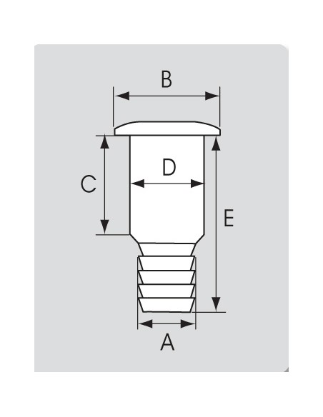 Huiddoorvoer RVS ployamide 3/4" slang 19 mm