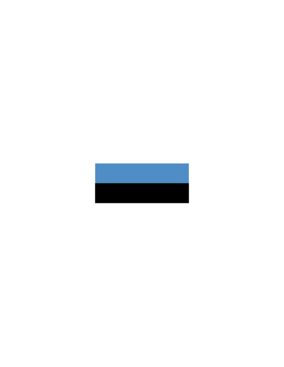 Vlag Estland div.modellen